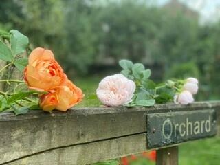 Additional image 41 of 33 Lawton Street, Congleton, Cheshire CW12 1RU