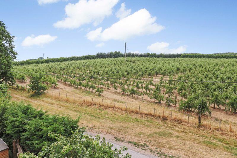 Additional image 26 of Chartham Hatch