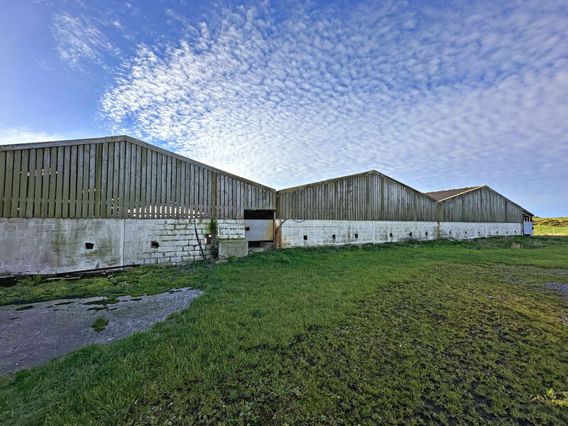 Additional image 10 of Cutreoch & Morrach Farms