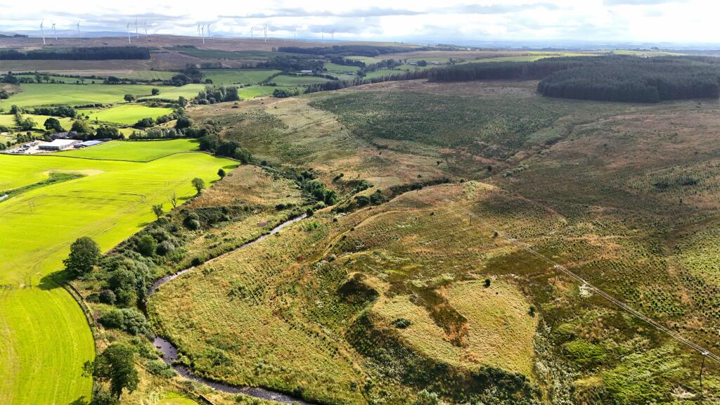Additional image 6 of Hotts Hill Forest, Waterbeck, Lockerbie DG11 3HA