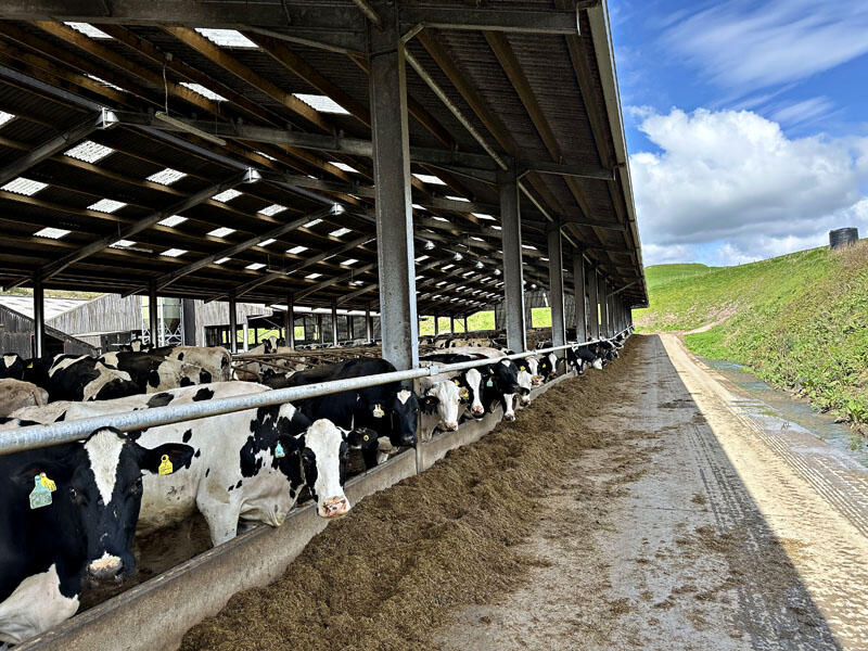 Additional image 17 of Boreland of Borgue