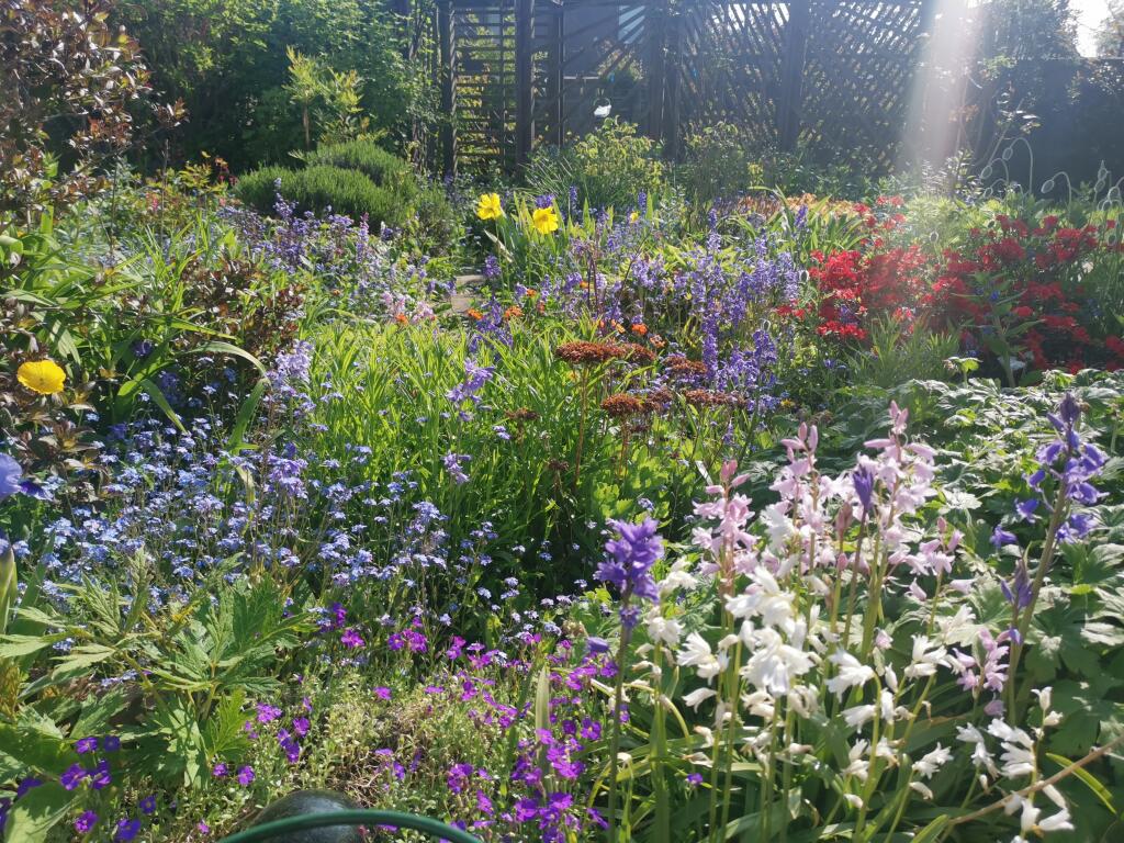 Additional image 26 of Johnston Avenue, Dundee, DD3