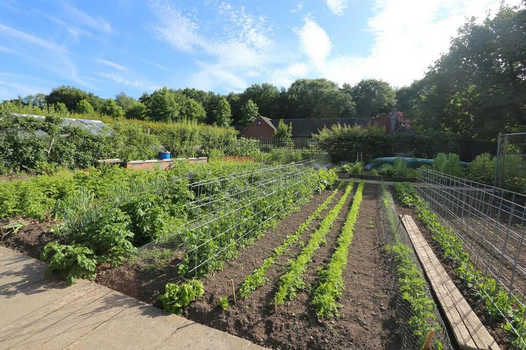 Additional image 39 of Springwood, Caldecote, Nuneaton