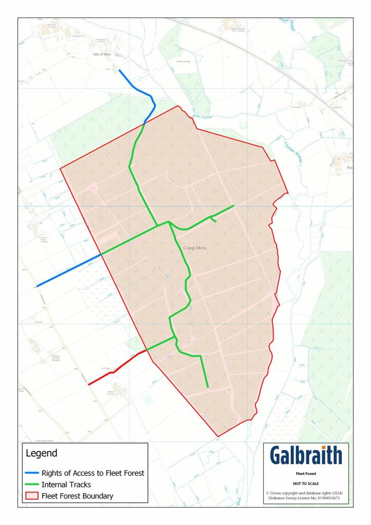 Additional image 23 of Fleet Forest, Fleet Forest, Dumfries, Dumfries & Galloway, South West Scotland, DG1