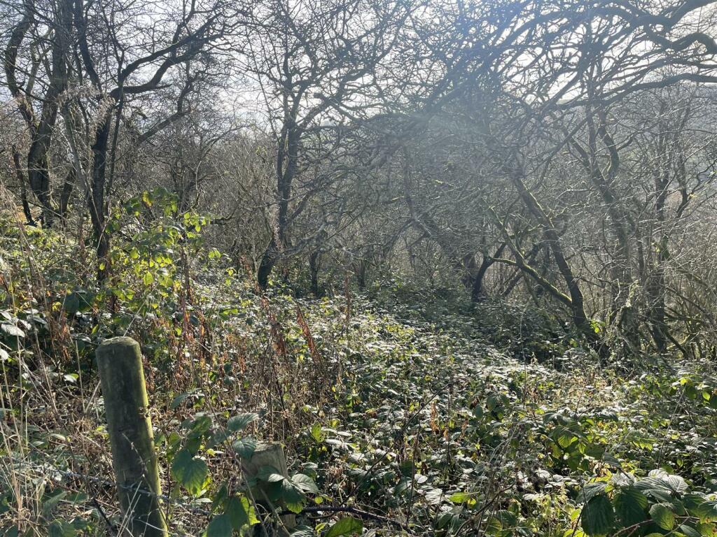 Additional image 3 of Lot 1, Ible, Grangemill, Matlock