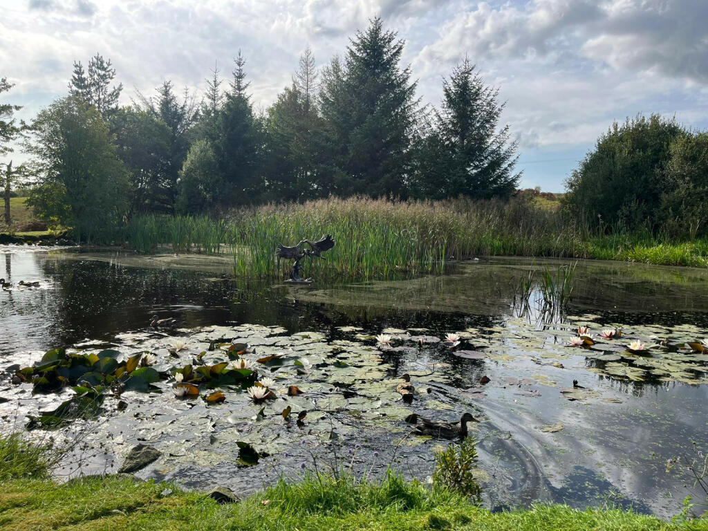 Additional image 4 of Newton Stewart, Wigtownshire, DG8