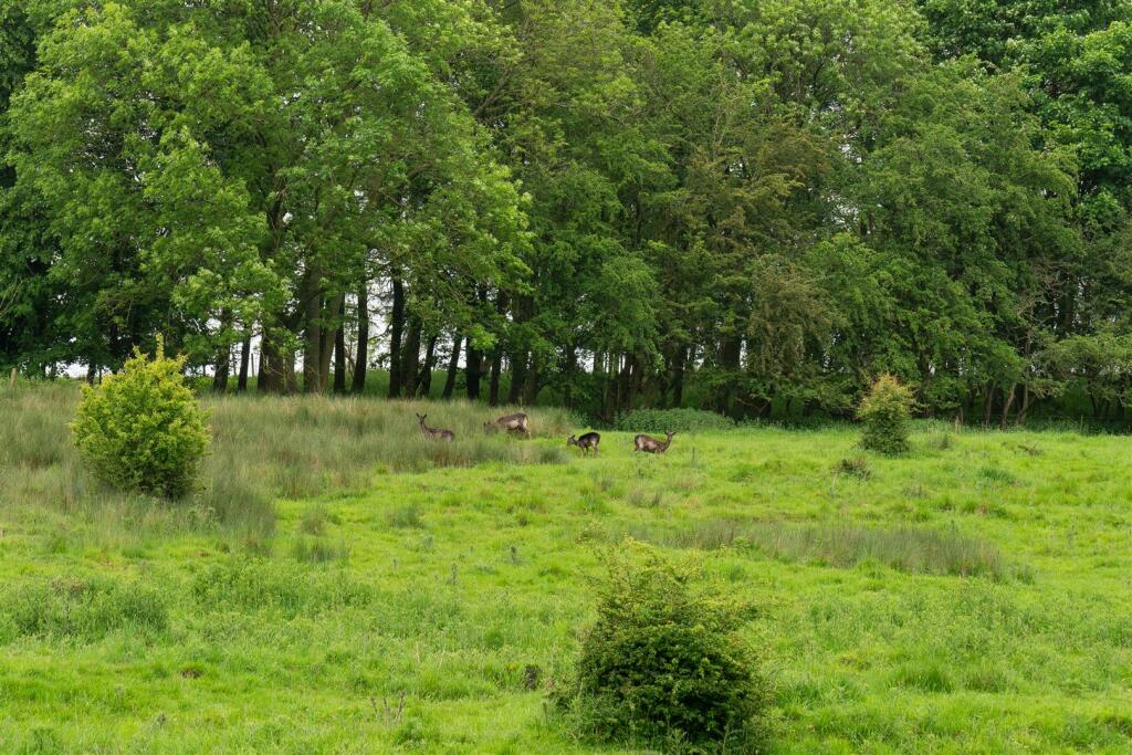 Additional image 53 of Stanton Mill, Main Road, Stanton-In-The-Peak, Derbyshire, DE4 2LW