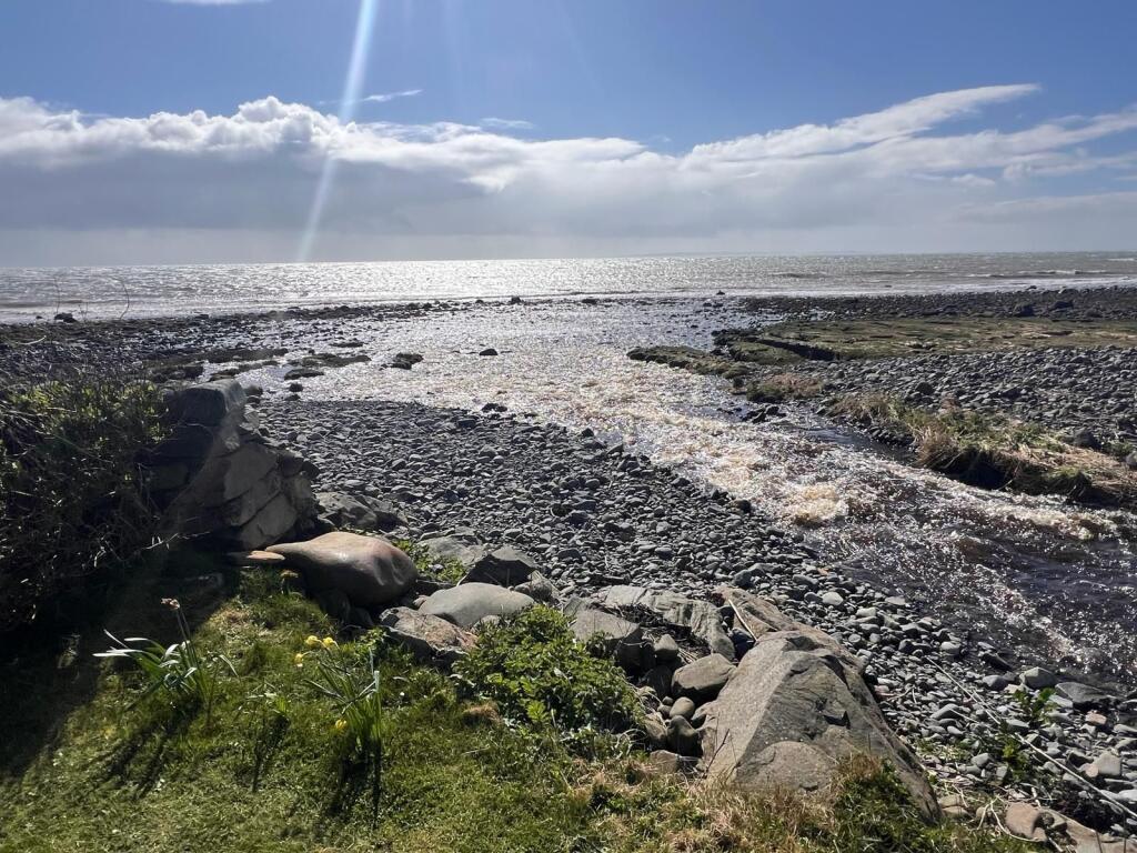 Additional image 9 of , Newton Stewart , DG8 9QS