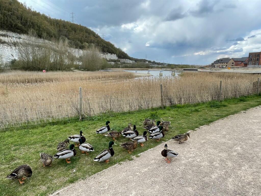 Additional image 25 of Freeman Close, Castle Hill, Ebbsfleet Valley