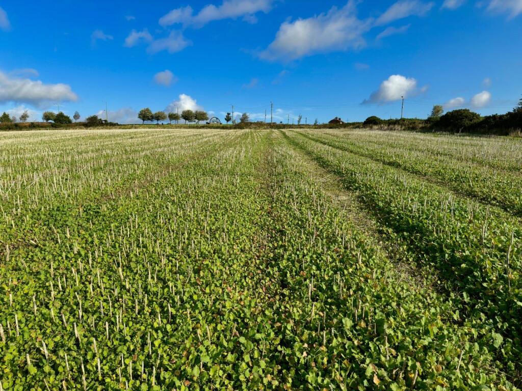 Additional image 4 of Land at Lanchester, Peth Lane, Lanchester, Durham
