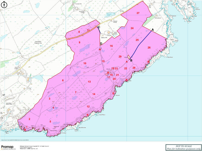 Additional image 24 of Cutreoch & Morrach Farms