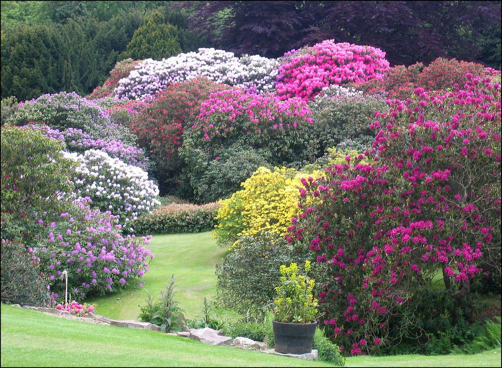 Additional image 19 of Eshwood Hall, Durham