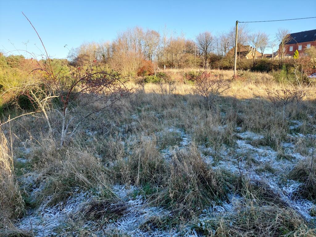 Additional image 13 of Land North of Freicks Buildings, Front Street, County Durham, DH9 9JZ