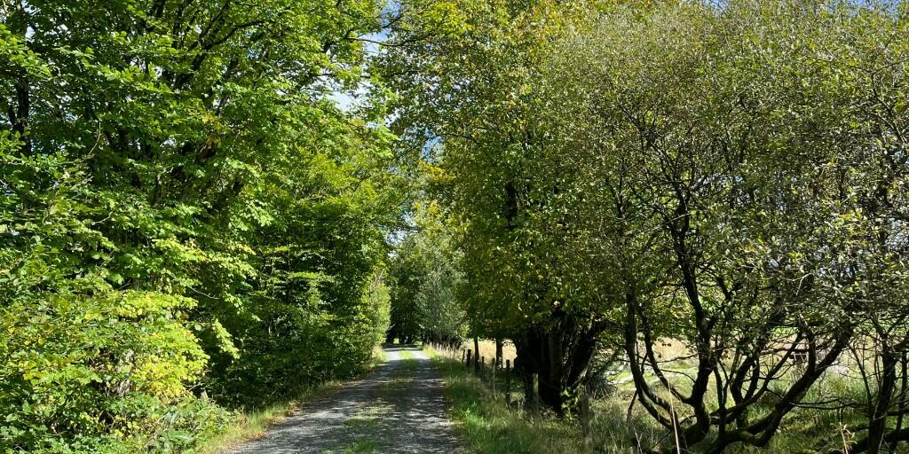 Additional image 4 of Crailloch Moss Wood, Galloway DG8
