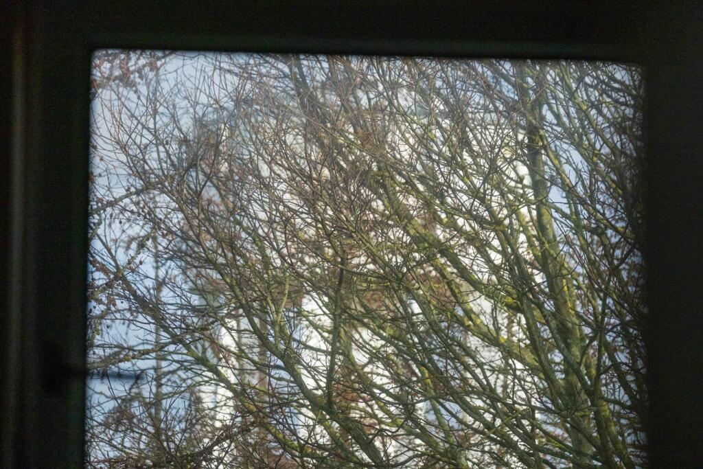 Additional image 17 of Yarrow Terrace, Dundee