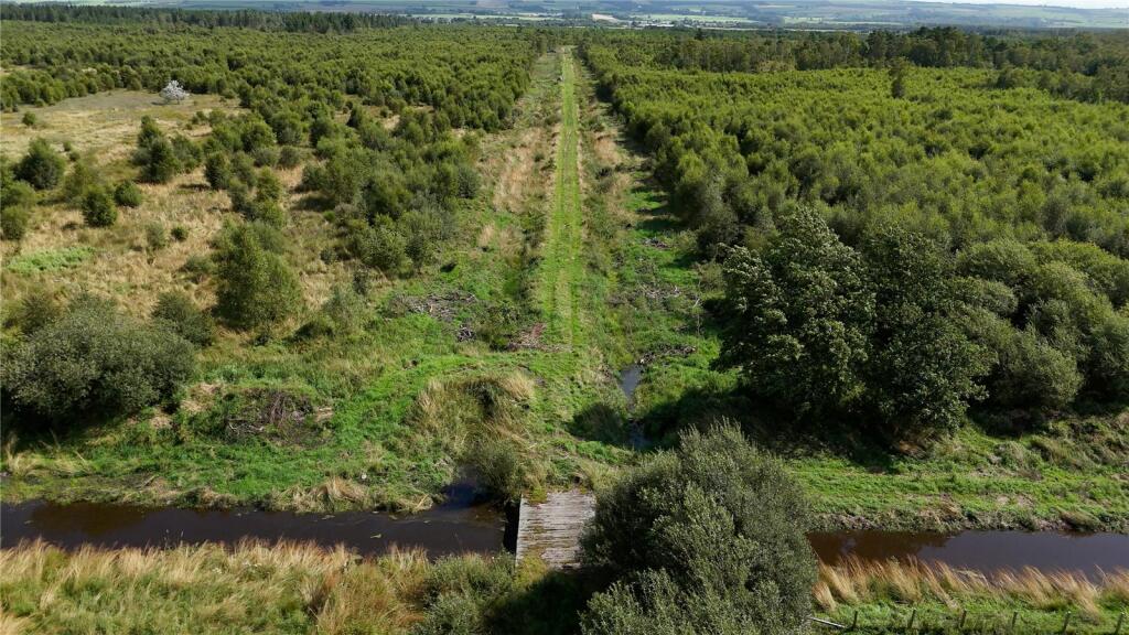 Additional image 11 of Fleet Forest, Fleet Forest, Dumfries, Dumfries & Galloway, South West Scotland, DG1