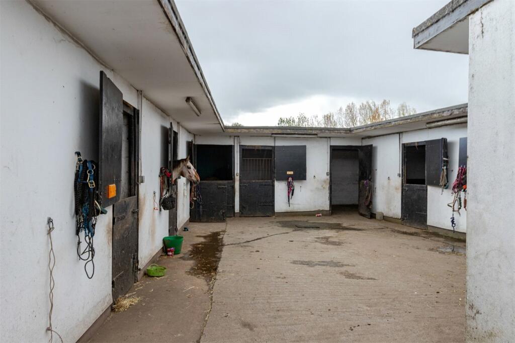 Additional image 23 of Angel Of The North Fishing Lakes, Bassets Lookout, Northside, Birtley