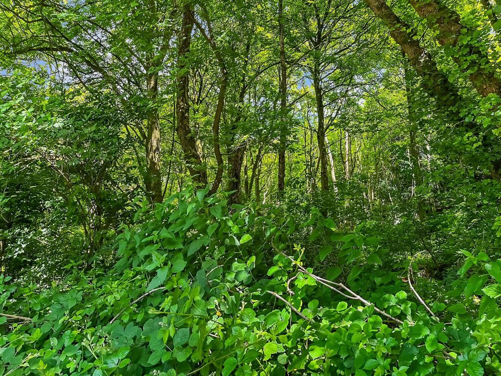 Additional image 2 of Ridge Lane, Meopham, Gravesend, Kent