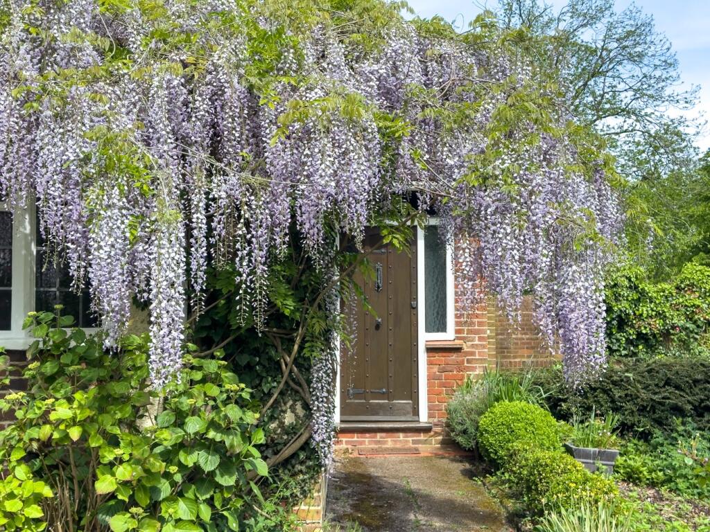 Additional image 24 of Pear Tree Lane, Shorne, Gravesend, Kent, DA12