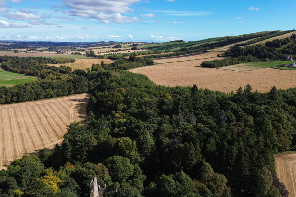 Additional image 34 of Finavon Castle, Forfar, DD8