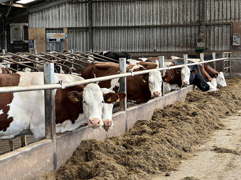 Additional image 27 of Knockefrick Farm