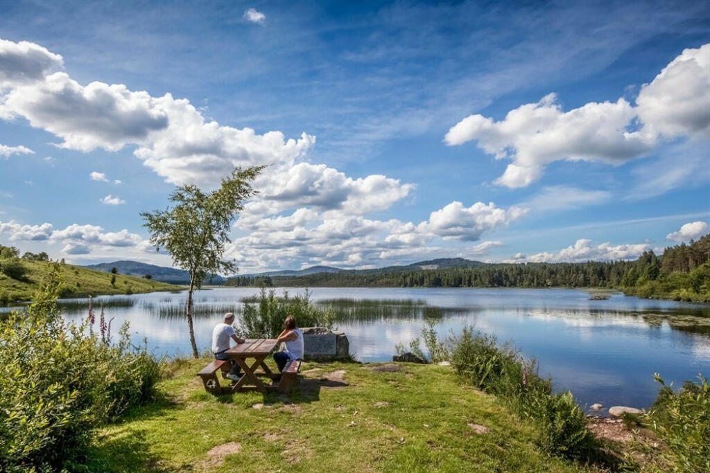 Additional image 10 of Newton Stewart, Wigtownshire, DG8