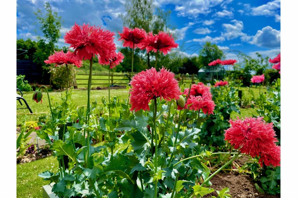 Additional image 37 of Gorse Lane, Congleton, CW12