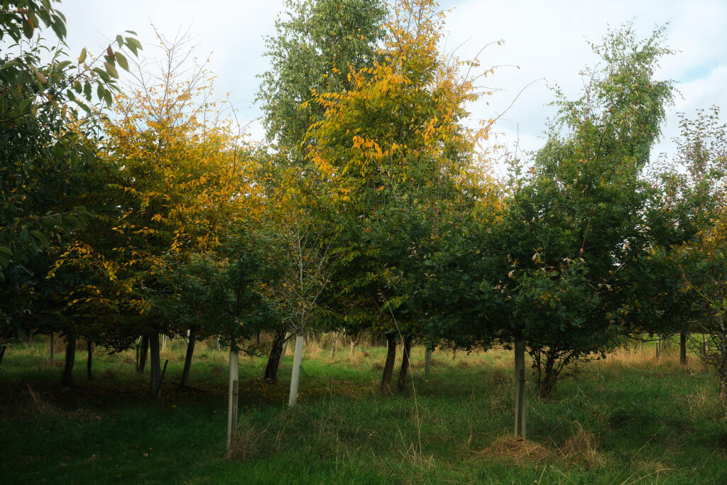 Additional image 43 of Valley Farm, Radway, Warwick