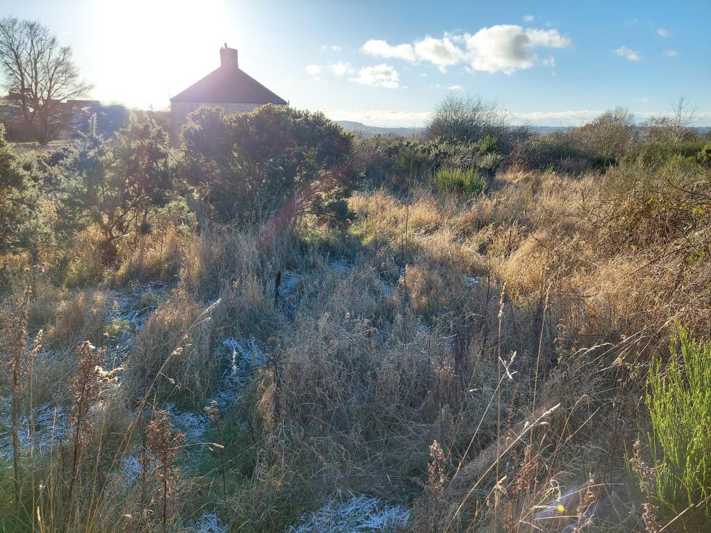 Additional image 11 of Land North of Freicks Buildings, Front Street, County Durham, DH9 9JZ