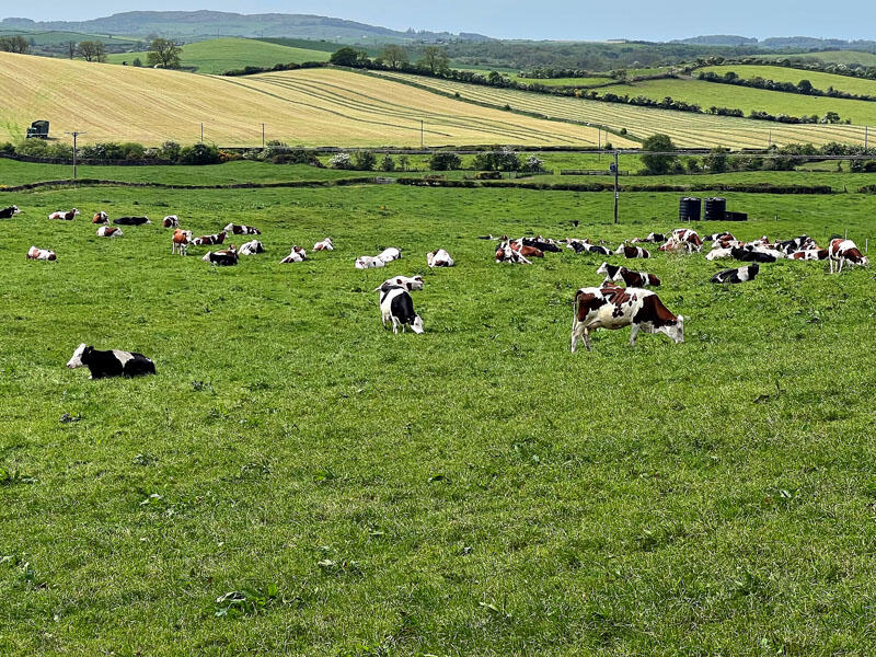 Additional image 25 of Knockefrick Farm