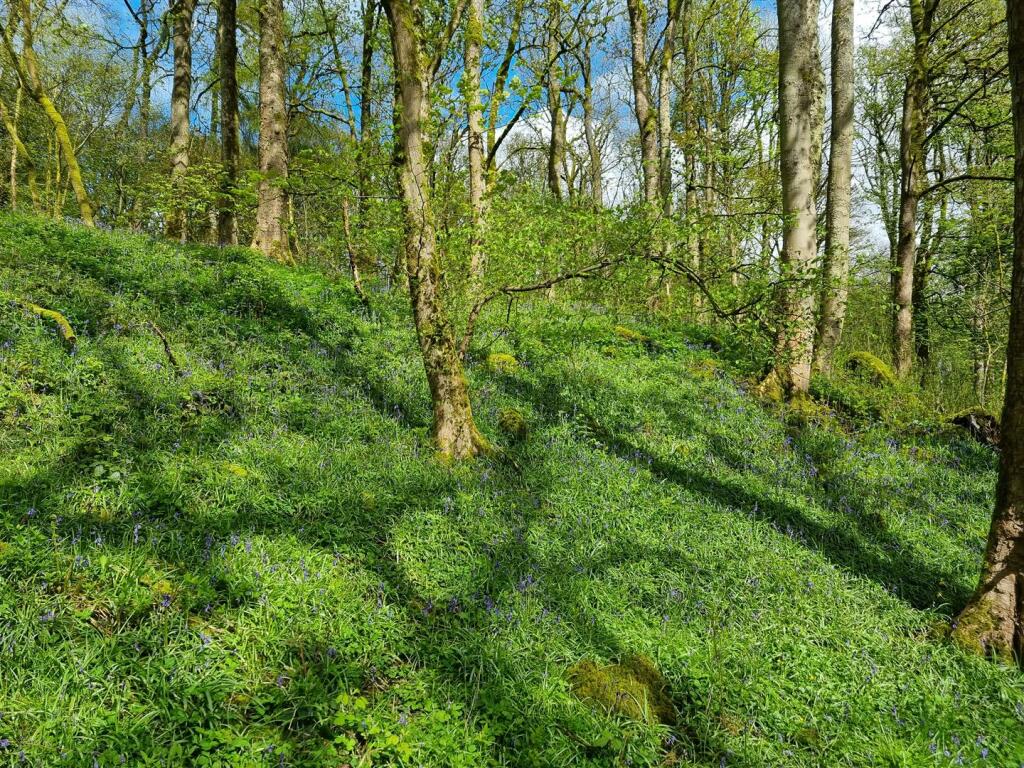 Additional image 14 of Lot 3: Gospel Farm, Bramley Lane, Hassop, Bakewell