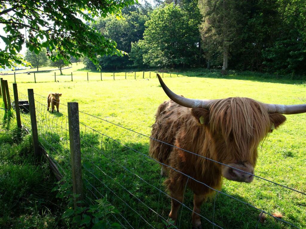 Additional image 2 of Mabie Farm and Lodge Park, Burnside Farm,Mabie, Dumfries and Galloway, DG2 8EZ