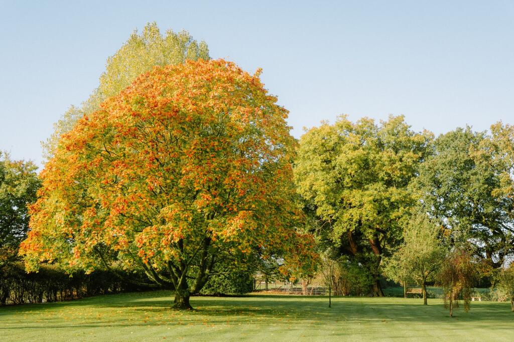 Additional image 27 of A Special Victorian Era Residence Near Tarporley