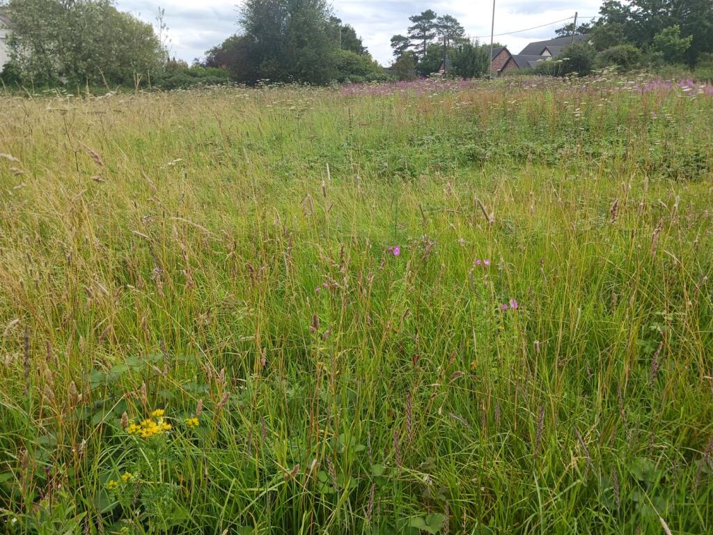Additional image 4 of Land at Woore, Crewe