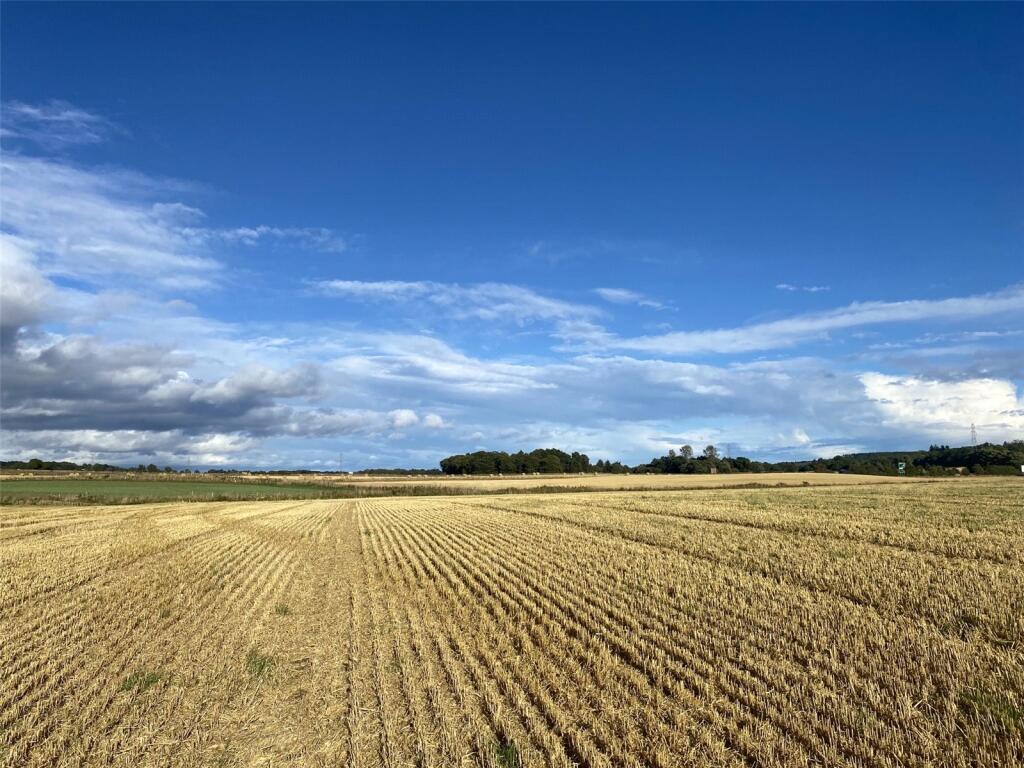 Additional image 5 of Land At West Kintrockat Farm, Brechin, Angus, DD9
