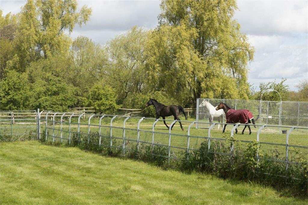 Additional image 23 of The Barn House, Longbridge, Warwick