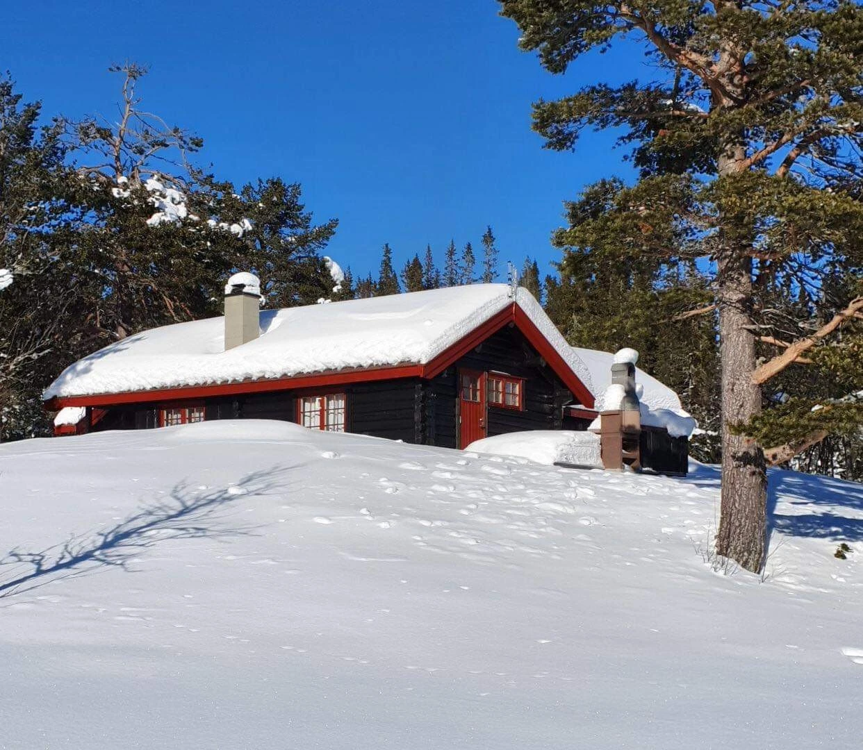 Additional image 3 of 3658 Miland