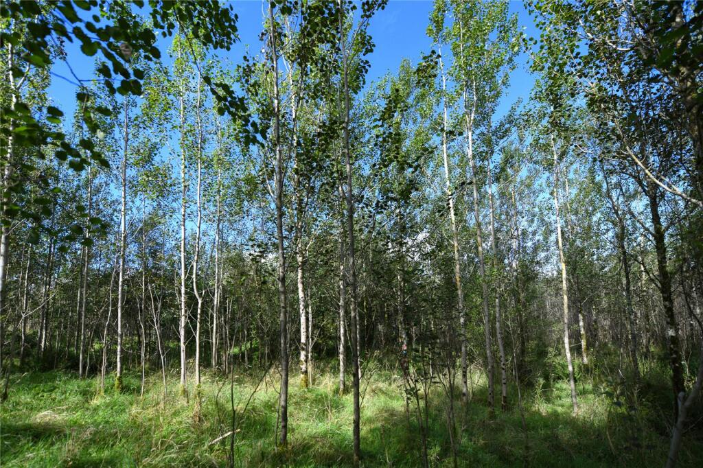 Additional image 15 of Glenquicken Estate, Creetown, Newton Stewart, Dumfries and Galloway, South West Scotland, DG8