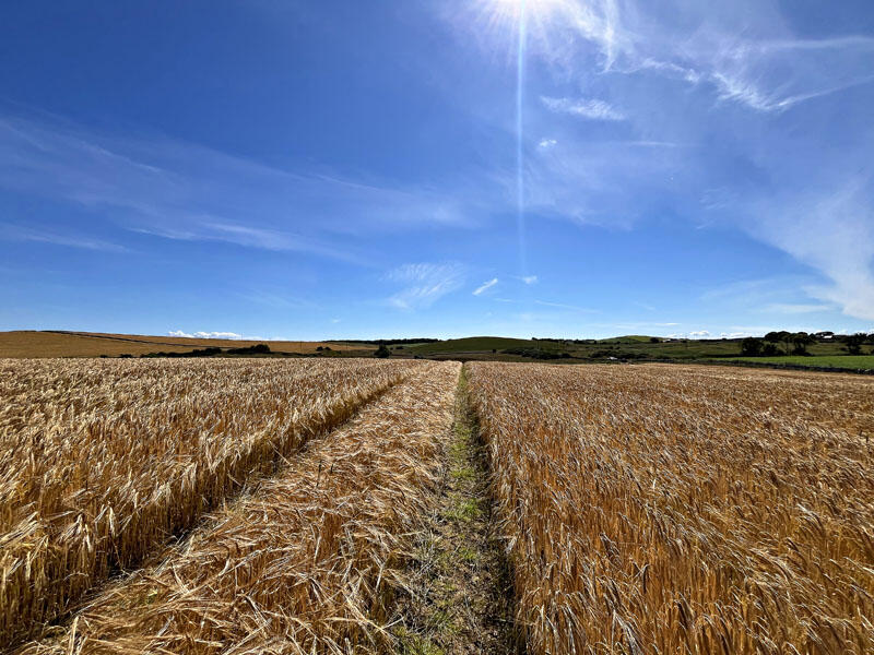 Additional image 4 of Land at Little Balsier