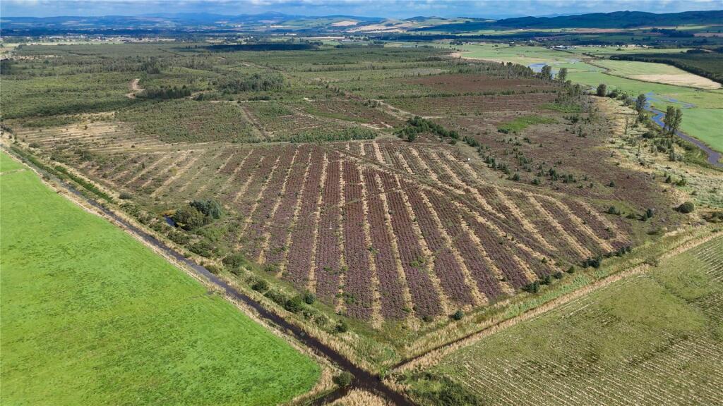 Additional image 12 of Fleet Forest, Fleet Forest, Dumfries, Dumfries & Galloway, South West Scotland, DG1