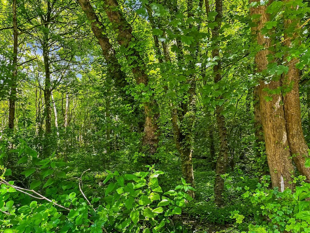 Additional image 6 of Ridge Lane, Meopham, Gravesend, Kent