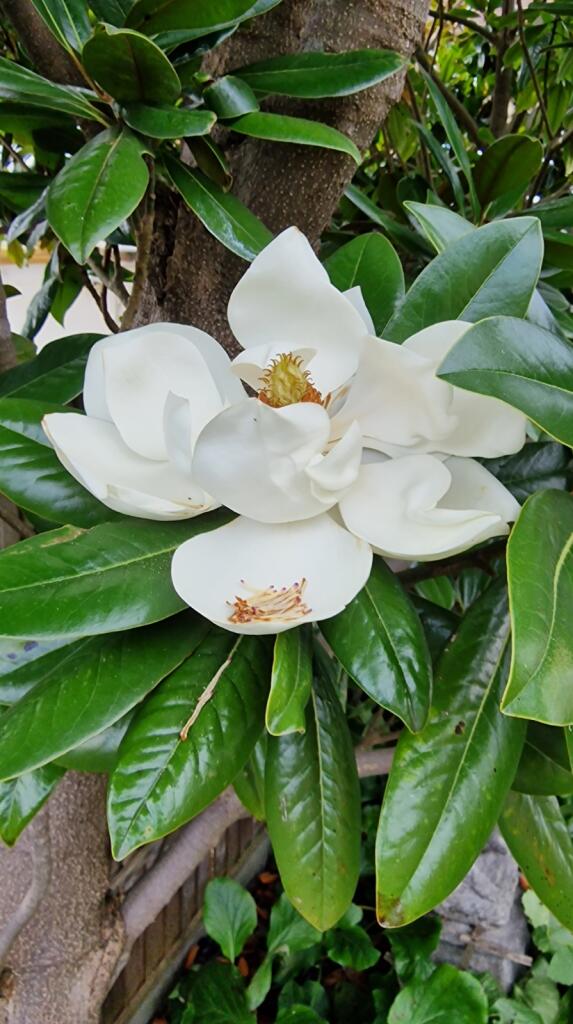 Additional image 23 of Canterbury Road, Folkestone, Kent, CT19