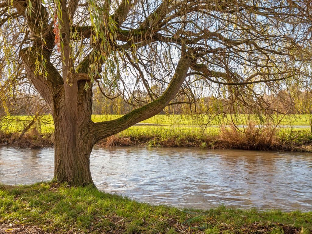 Additional image 34 of Riverside Witherley Atherstone, Warwickshire, CV9 3LQ