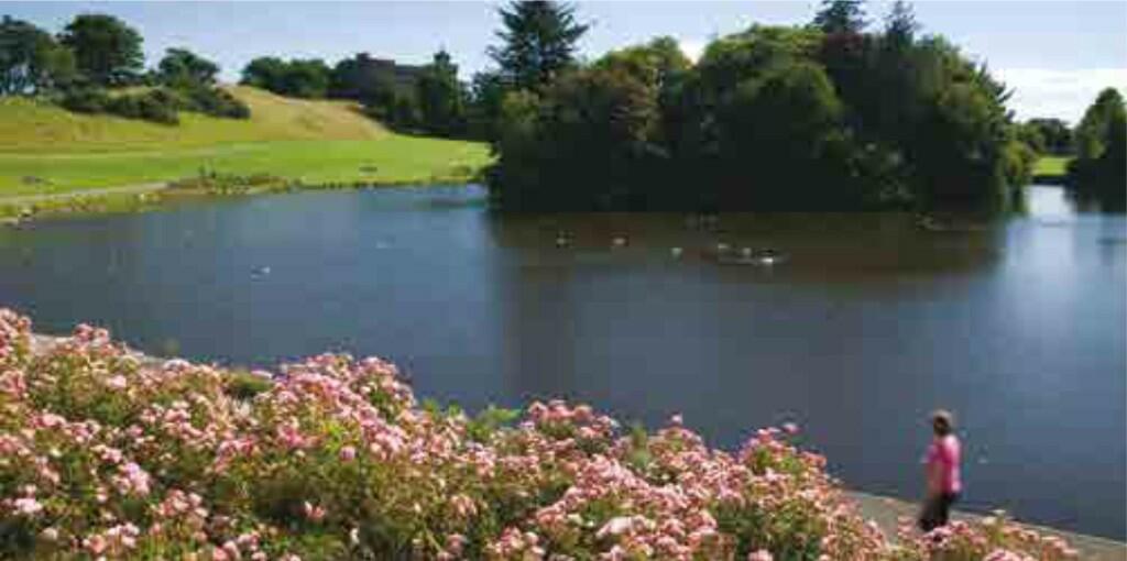 Additional image 16 of Earl Matthew Avenue, Arbroath, Angus, DD11