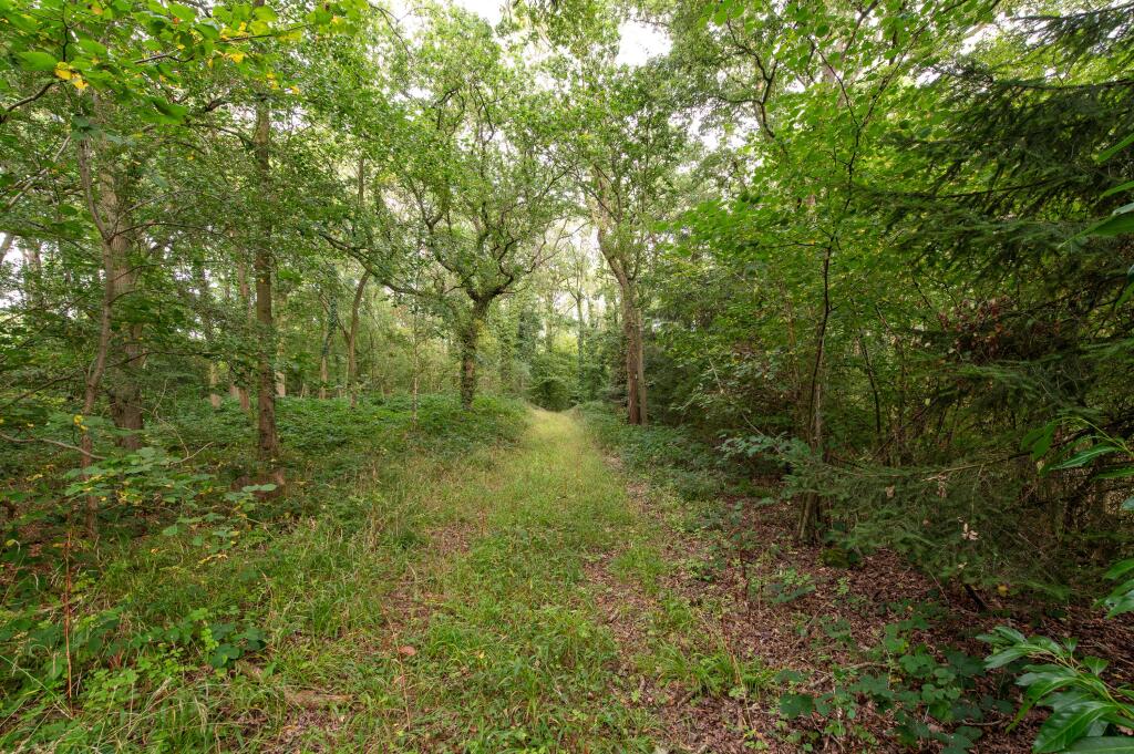 Additional image 16 of Burnthurst Lane, Princethorpe, Rugby, Warwickshire, CV23