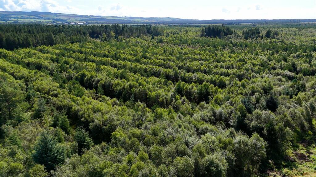 Additional image 8 of Fleet Forest, Fleet Forest, Dumfries, Dumfries & Galloway, South West Scotland, DG1