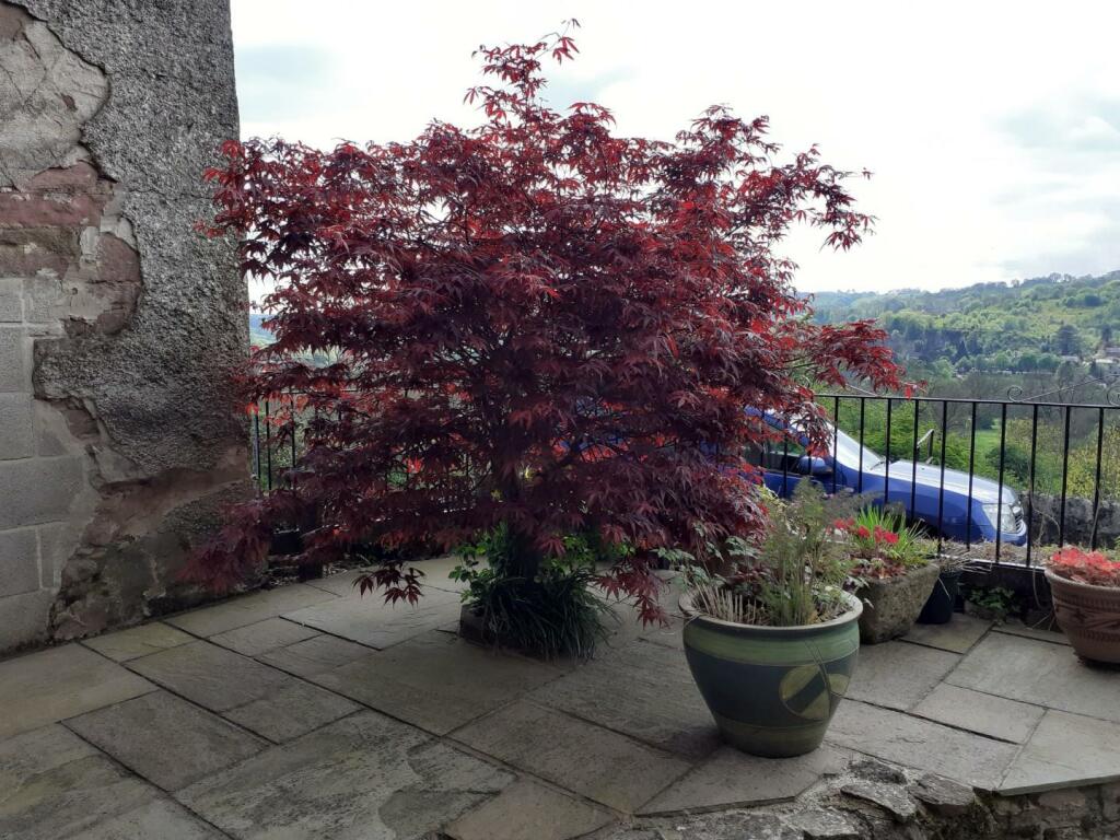 Additional image 41 of Little Bolehill, Bolehill, Wirksworth