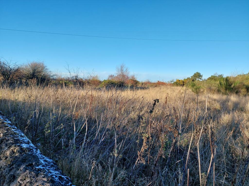 Additional image 8 of Land North of Freicks Buildings, Front Street, County Durham, DH9 9JZ