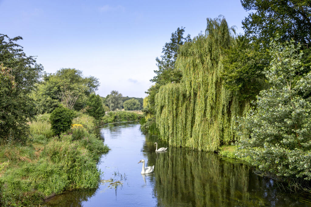 Additional image 12 of The Woodlands
Herne Bay Road
Sturry
CT2 0NJ