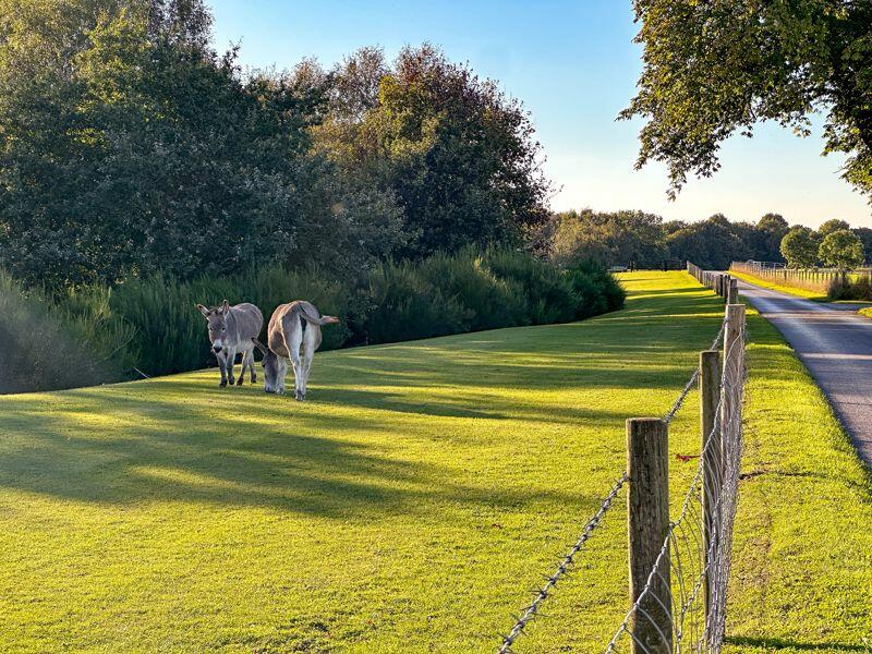 Additional image 37 of Hunters Pointe, Somerford